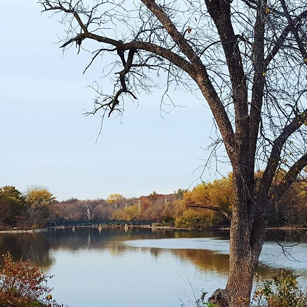 Fabyan Forest Preserve - @muenz3